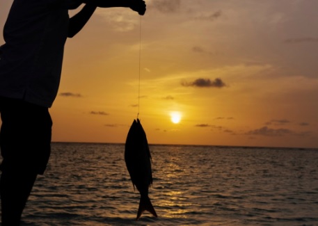 c_sunset_fishing.jpg
