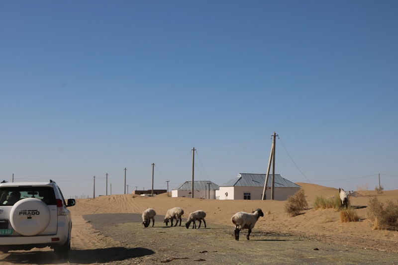 cikk_4606_0929_kara_kum_yerbent.jpg