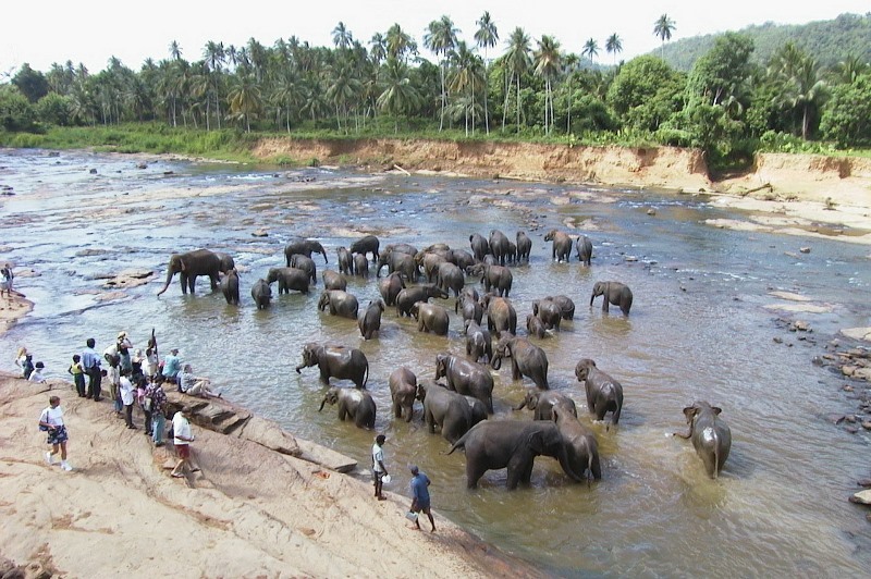 cikk_5667_sri_lanka_289803_1920.jpg