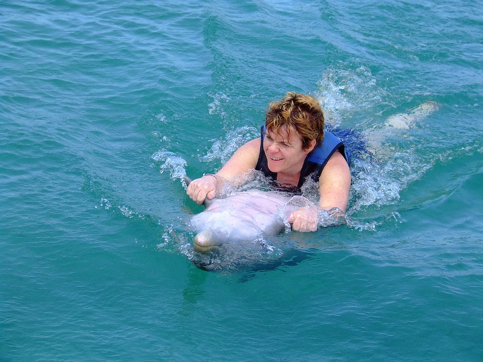 delfinuszas.jpg