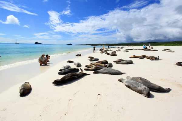 cikk_0_1000ut-ecuador-galapagos2.jpg