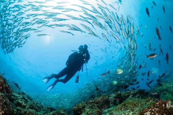 cikk_0_1000ut-ecuador-galapagos3.jpg