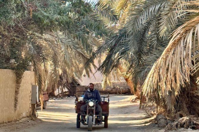 cikk_0_1000ut-egyiptom-siwa4.jpg