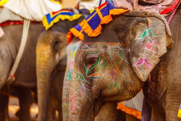 cikk_0_1000ut-india-holi-magazincikk2.jpg
