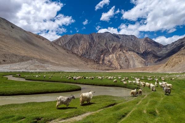 cikk_0_1000ut-india-tibet-ladakh1.jpg