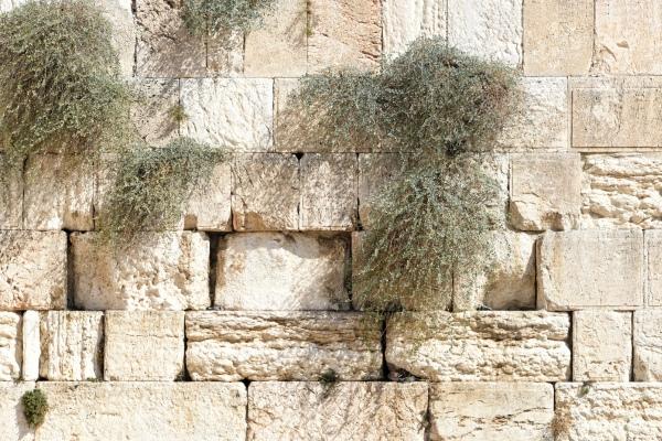 cikk_0_1000ut-izrael-siratofal3.jpg