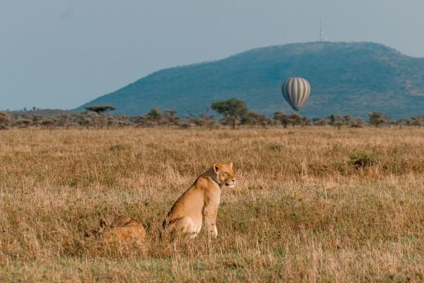cikk_0_1000ut-kenya-szafari-cikk-holegballon.jpg
