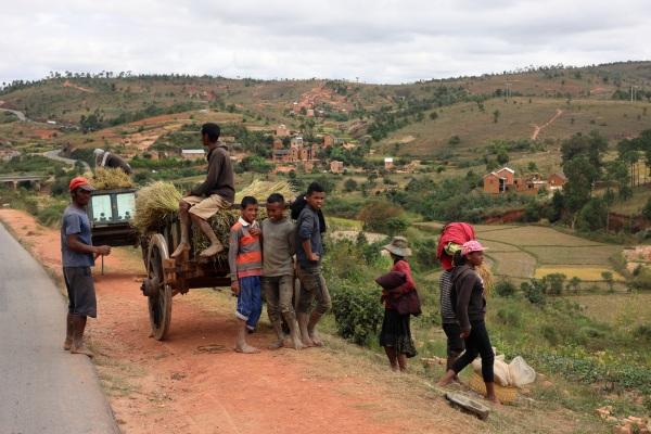 cikk_0_1000ut-madagaszkar-a_makik-riszaljak-cikk-szeker.jpg
