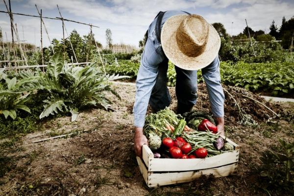 cikk_0_1000ut-olaszorszag-puglia-es-basilicata-farm.jpg