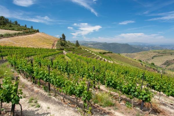 cikk_0_1000ut-portugalia-douro-volgy-cikk2.jpg