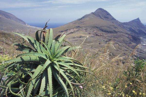 cikk_0_1000ut-portugalia-madeira-porto-santo2.jpg