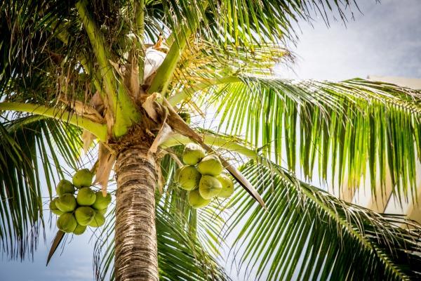 cikk_0_1000ut-sao-tome-es-principe-magazincikk11.jpg