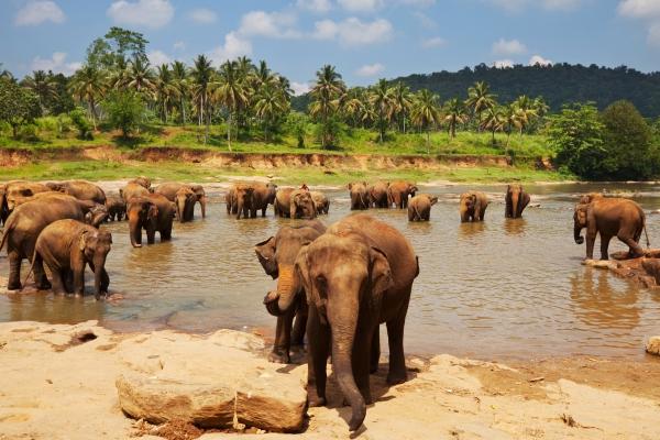 cikk_0_1000ut-sri-lanka-kincsesdoboz-magazincikk4.jpg