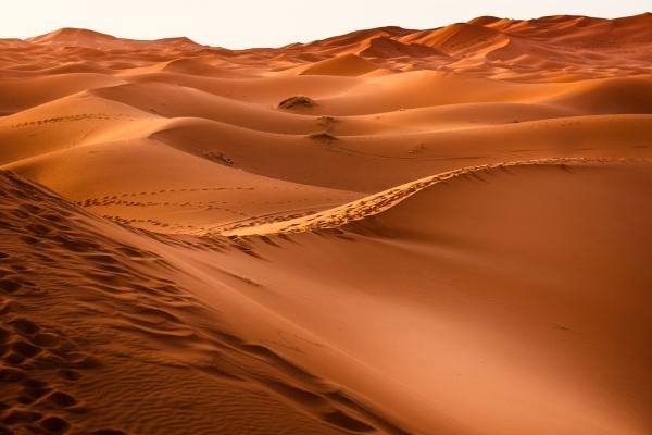 cikk_0_1000ut-szaud-arabia-magazincikk1.jpg