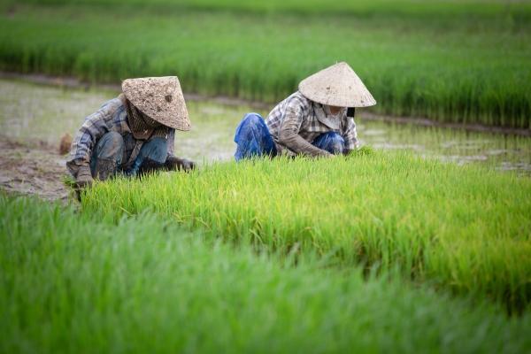 cikk_0_1000ut-vietnam-magazincikk11.jpg