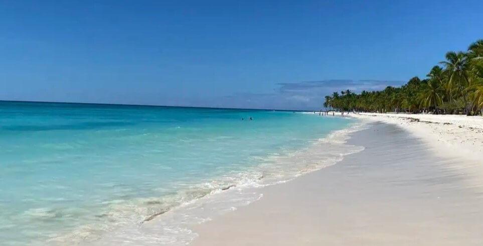 other_1649_38387_1000ut-saona2.jpg