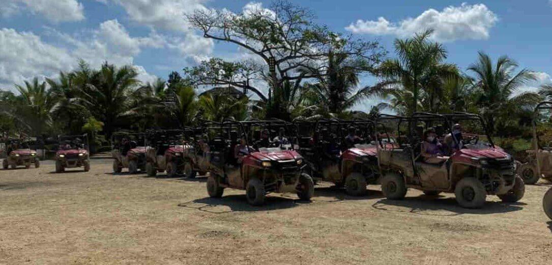 other_1697_38387_1000ut-buggy.jpg