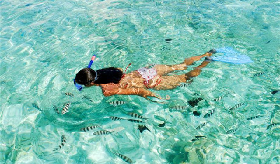 seychelles_snorkeling.jpg