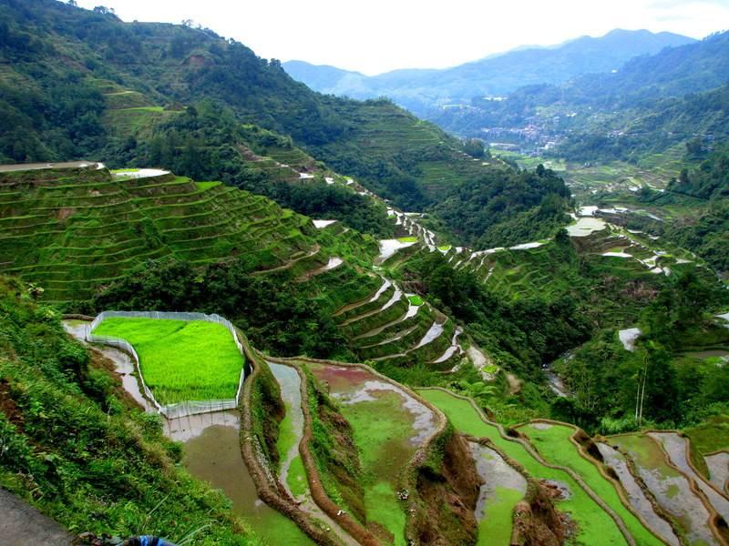 Laosz - Vietnám - Kambodzsa, Banauei rizsteraszok