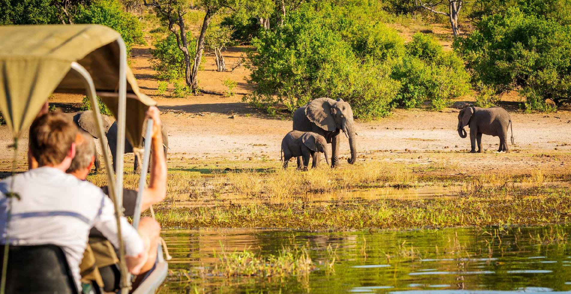 Namíbia - Botswana - Zimbabwe, elefántok megfigyelése