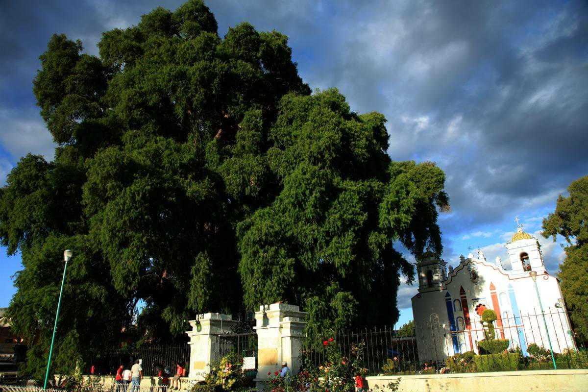 Mexikó