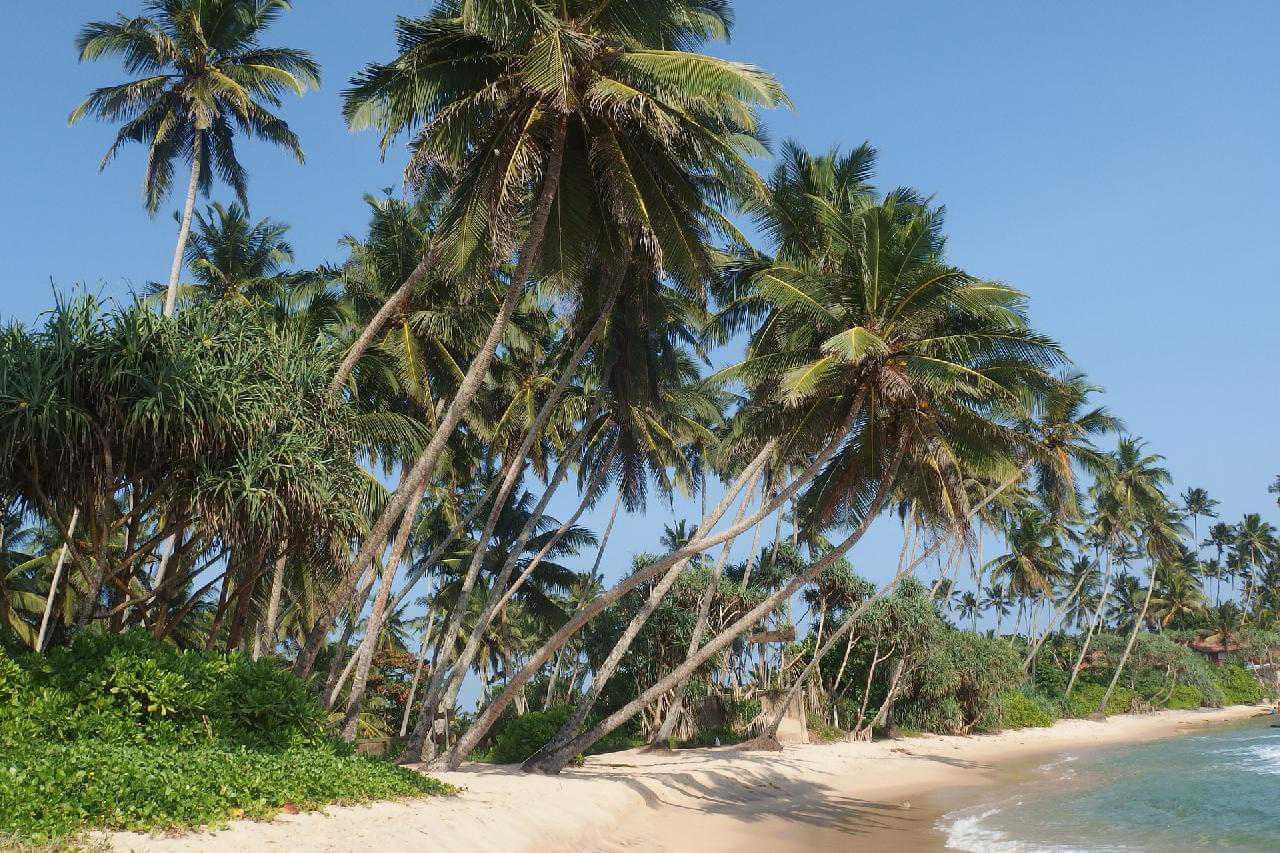 Srí Lanka, óceánpart