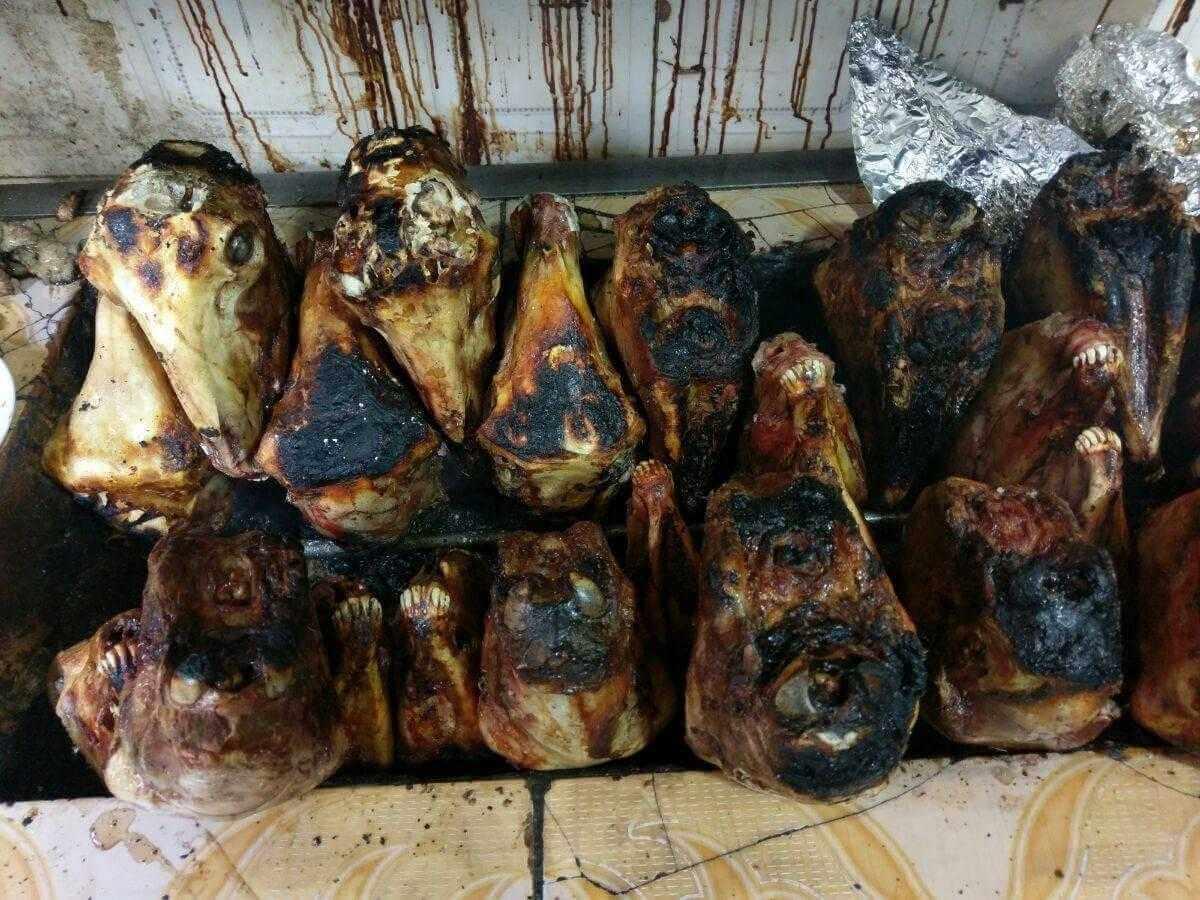 Algéria, sült fej