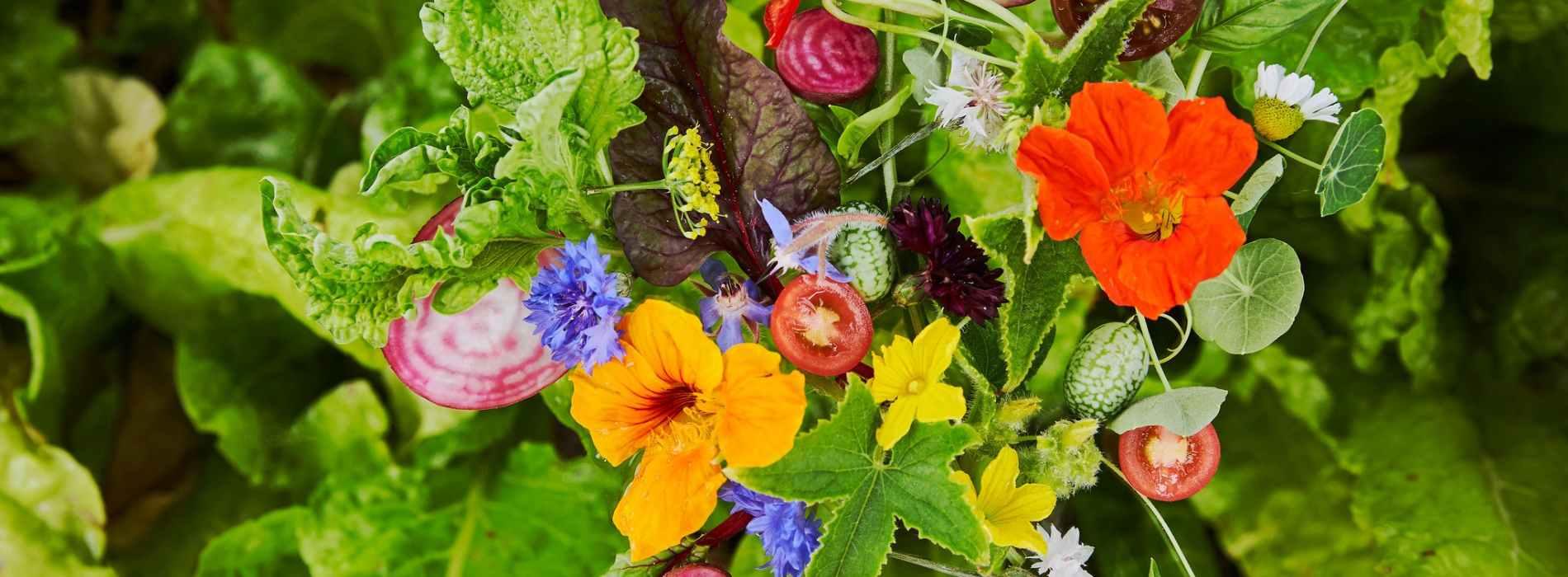 Ételek, hangulatok, történetek, zenék Délkelet-Ázsiából - Farm-to-table” vacsora a Séf és a Kertész világában