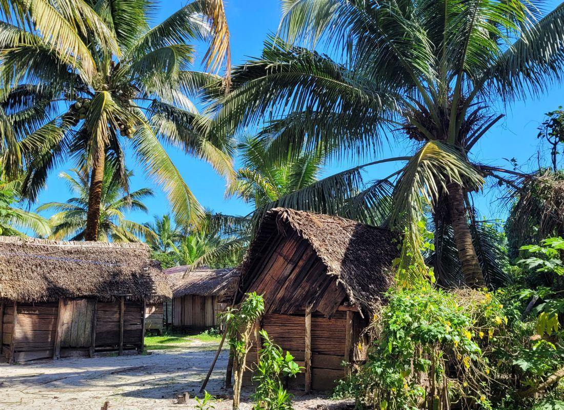 Madagaszkár partnertől kapott képek