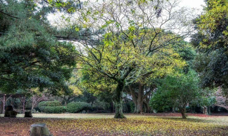 Dél-Korea, Jeju-sziget