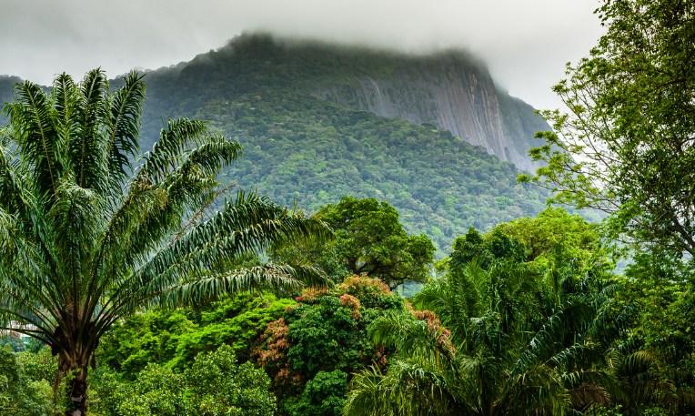Brazília, Tijuca Nemzeti Park