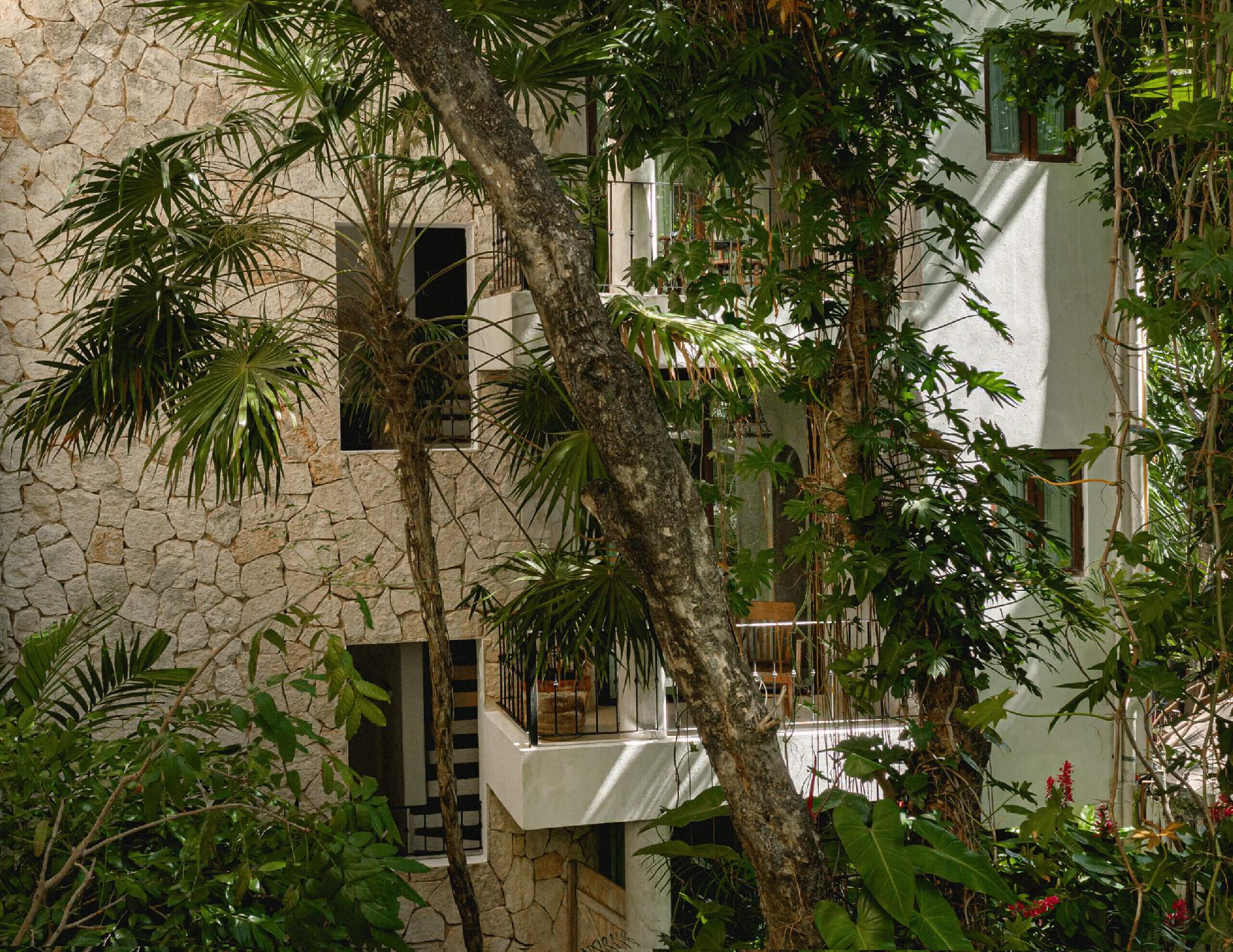 Mexikó Hotel La Semilla a Member of Design Hotels