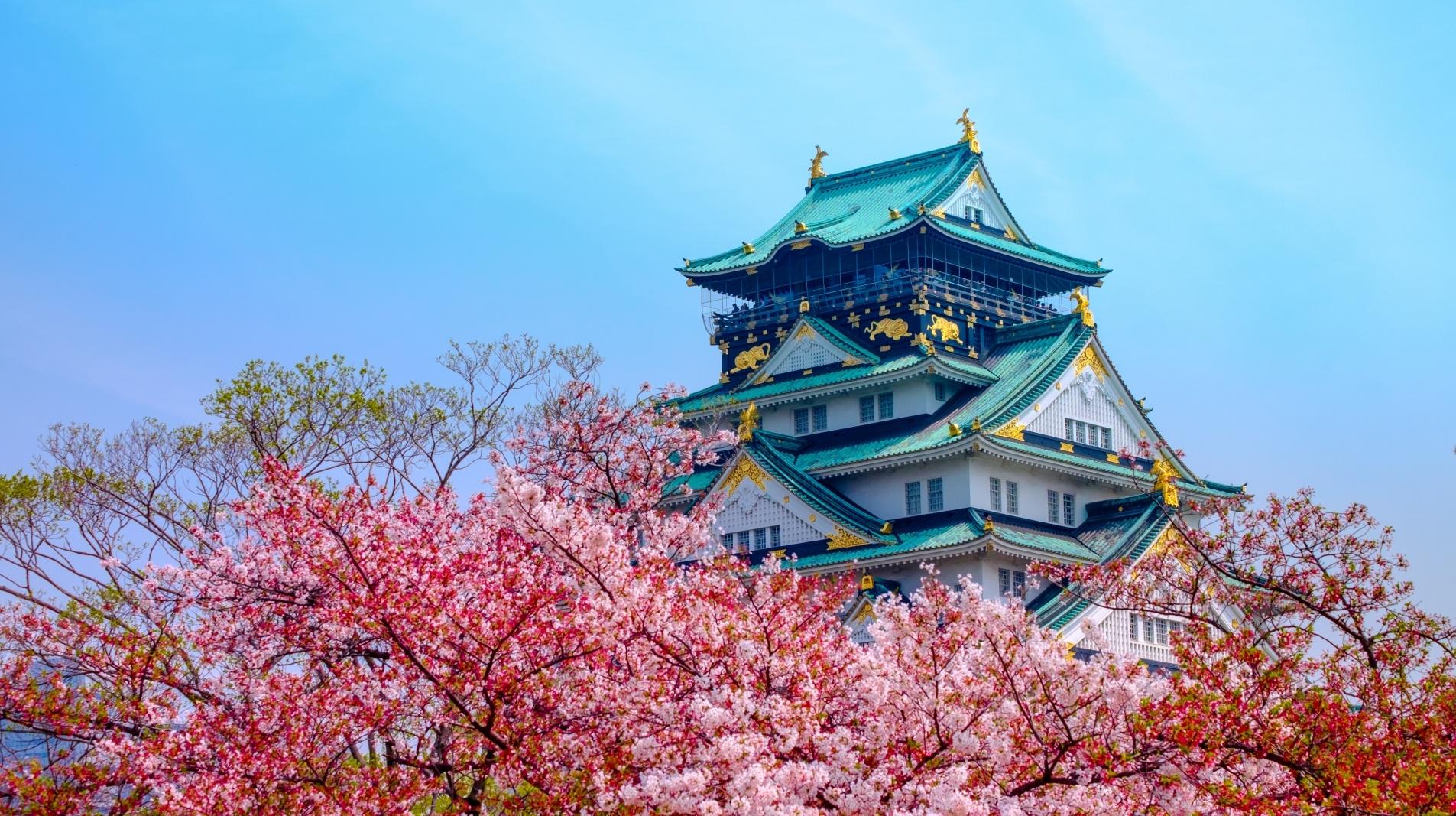Japán, Osaka kastély cseresznyevirágzás