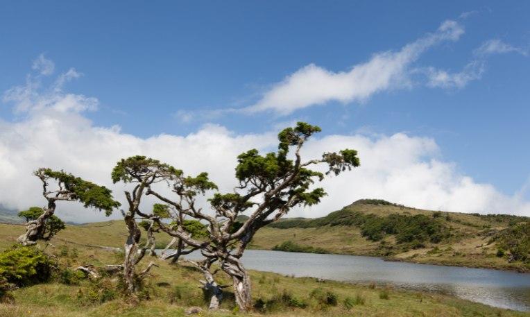 Azori-szigetek, Pico, Lagoa do Capitão