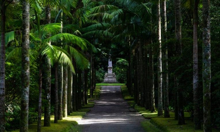 Azori-szigetek, São Miguel, Terra Nostra Park botanikus kert