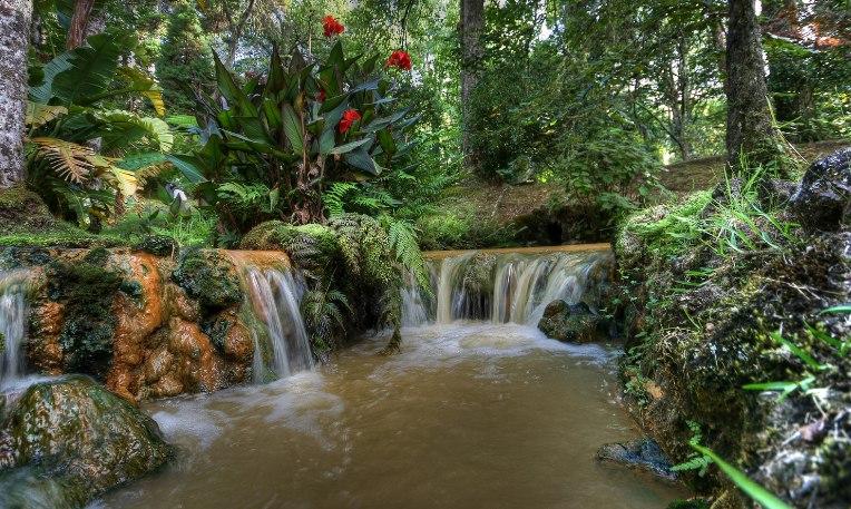 Azori-szigetek, São Miguel, Terra Nostra Park botanikus kert