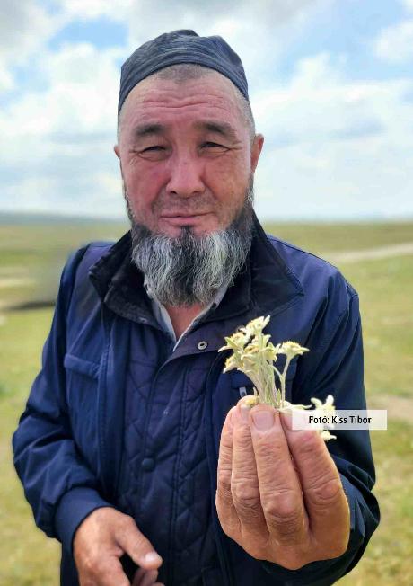 Kazahsztán és Kirgizisztán, életkép