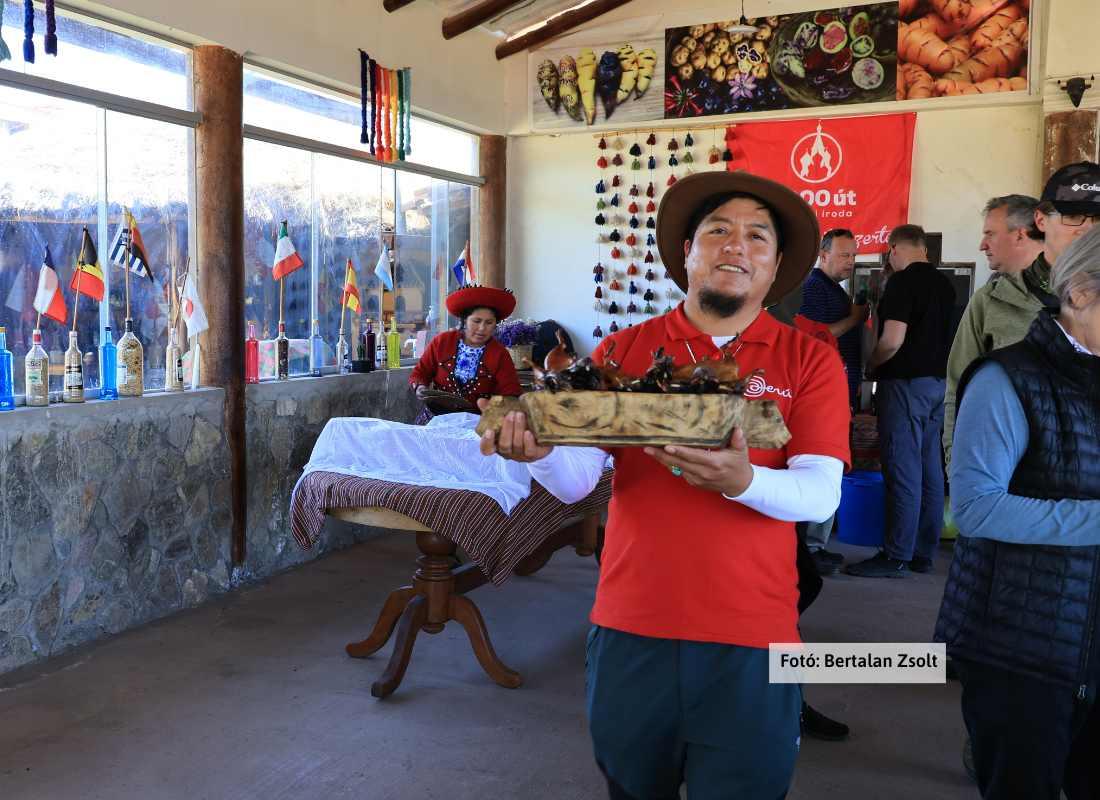 Peru, Eddy, a kecsua idegenvezetőnk sült tengerimalacot tálal Chincherosban