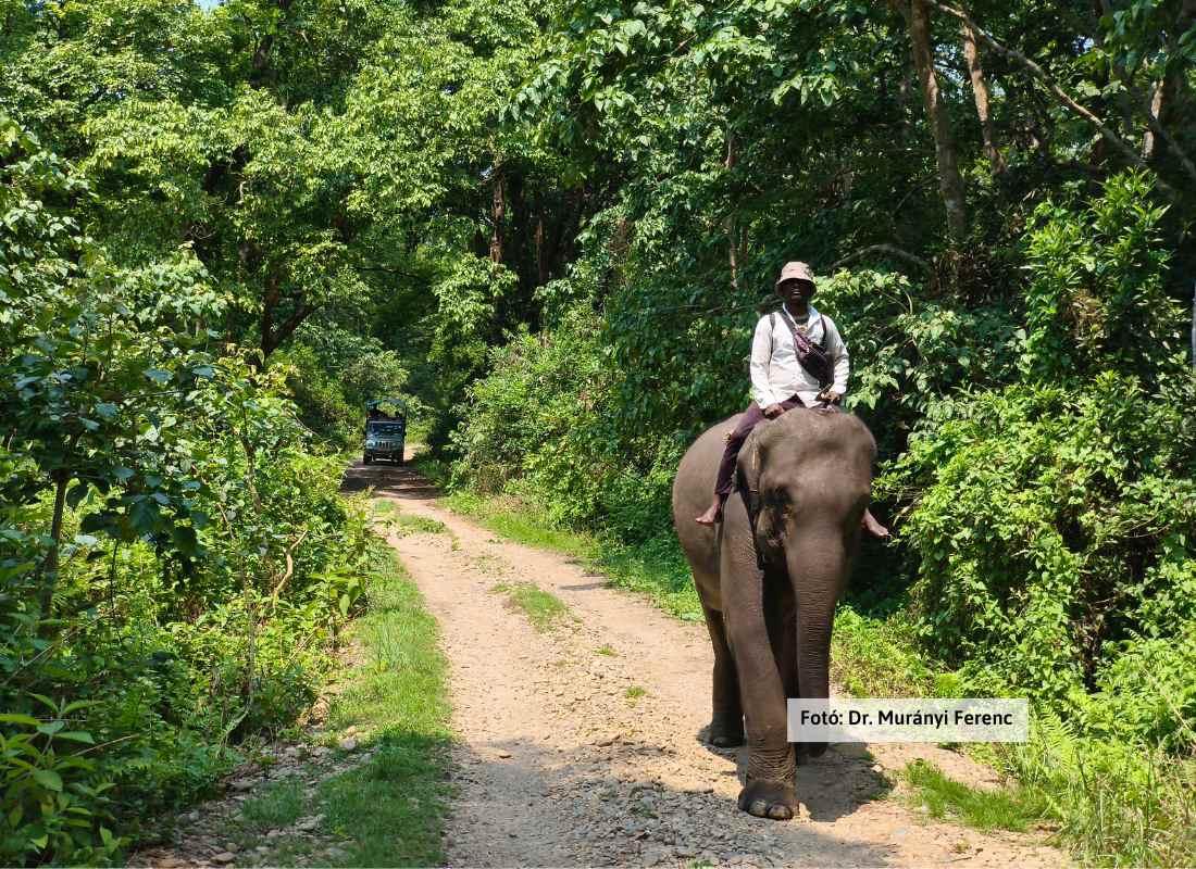 Nepál, Chitwan Nemzeti Park