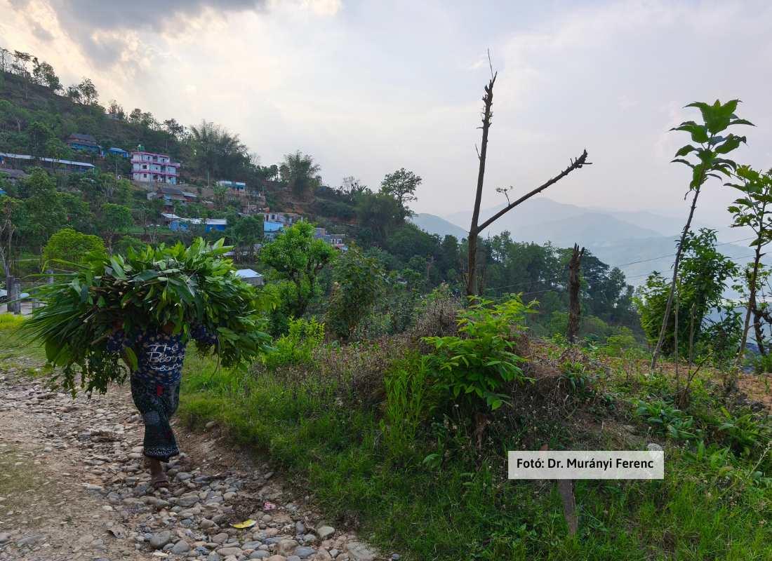 Nepál, Gorkha