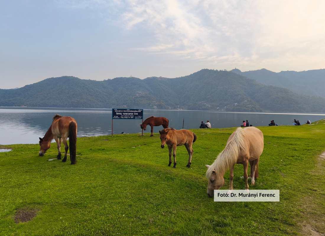 Nepál, Pokhara
