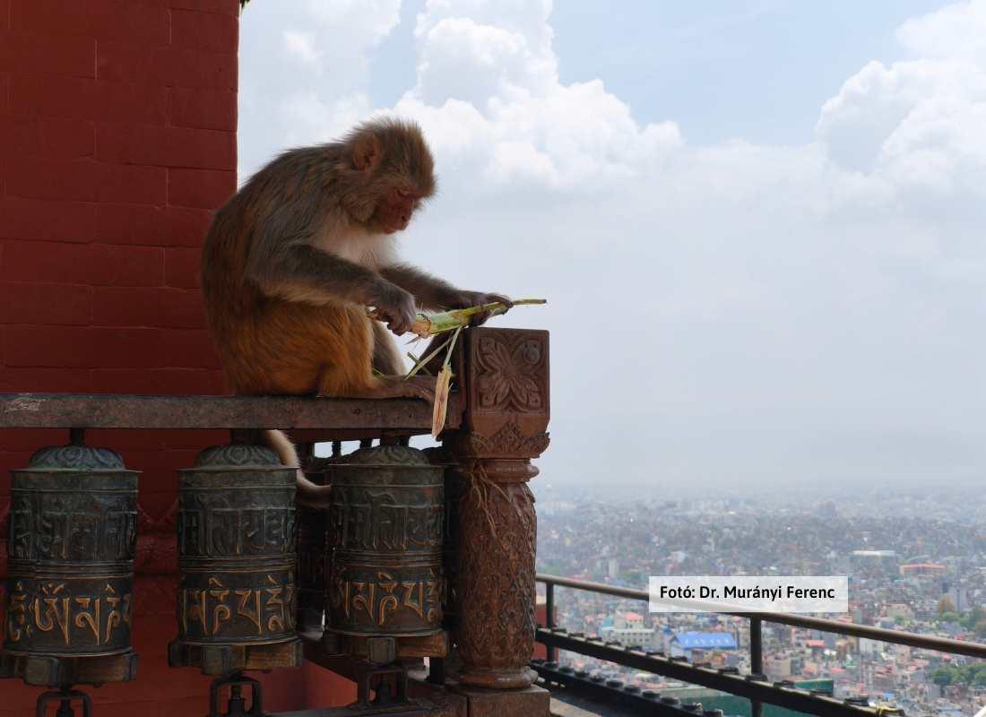 Nepál, Kathmandu