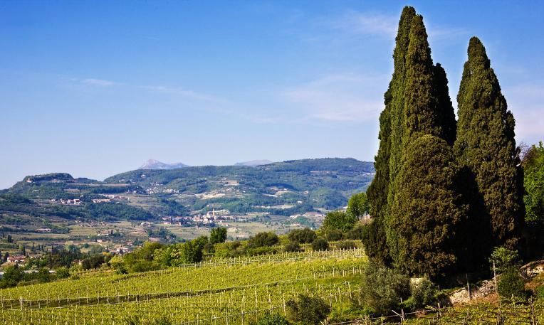 Olaszország, Valpolicella borvidék