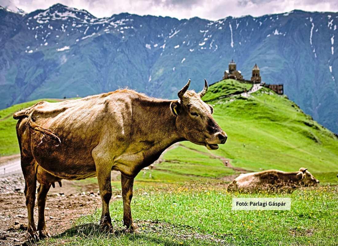 Grúzia, Kazbegi