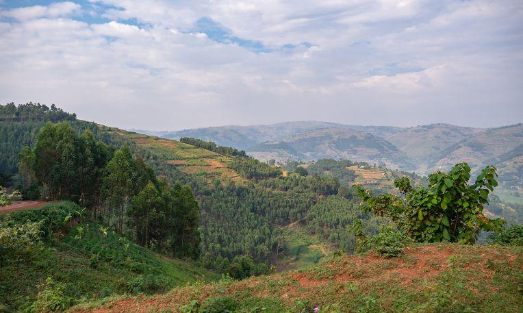 Uganda, Bwindi Nemzeti Park