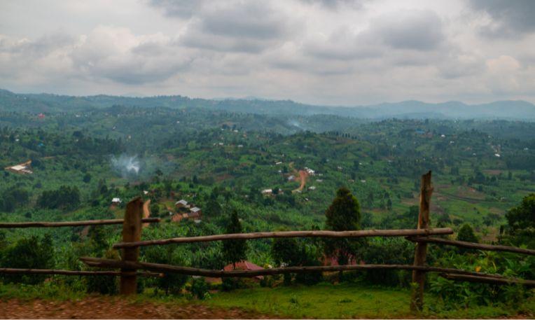 Uganda, Bwindi Nemzeti Park
