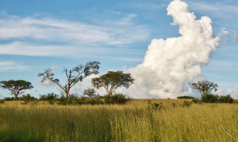 Uganda, Queen Elizabeth Nemzeti Park