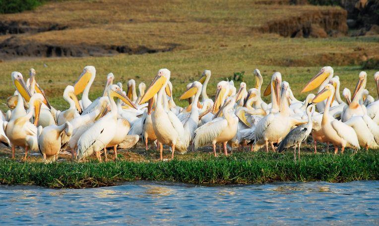 Uganda, Kazinga-csatorna