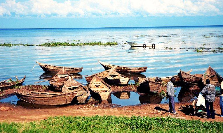 Uganda, Viktória-tó, életkép