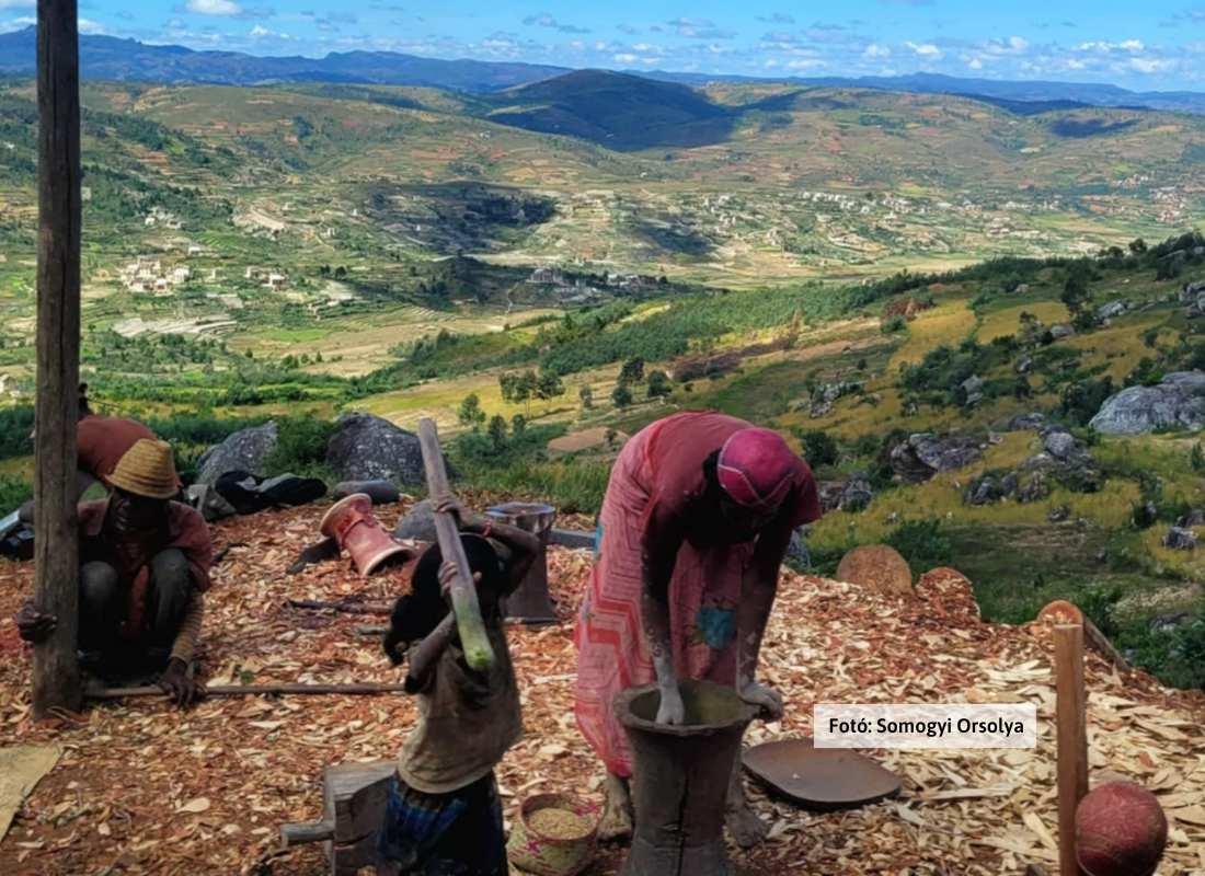 Madagaszkár, életkép